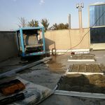 یاسر شاهپوری