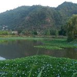 استخر لیلاکوه