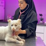 کلینیک دامپزشکی مرکزی(دکتر مریم حیدرلو)