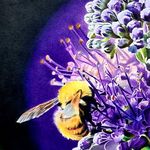 آموزشگاه نقاشی، خطاطی و سفال میکا