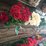 گلفروشی لوتوس