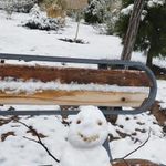 فضای سبز محلی