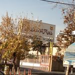 سازمان آتش نشانی وخدمات ایمنی