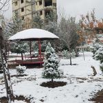 فضای سبز محلی