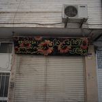 پوشاک آفتابگردان