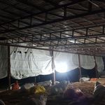 شالیکوبی مدرن آزادی ( حاج محمد زینی و پسران )