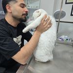 درمانگاه دامپزشکی دکتر خرمی - اصفهان - 9296