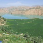 منطقه بارز و شوارز