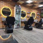 آرایشگاه شاخه نبات