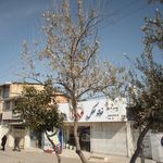 خانه عکس صبا