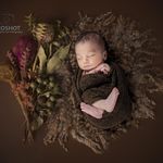 آتلیه عکس و فیلم پروشات