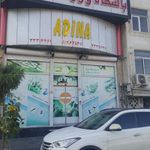 باشگاه آدینا