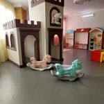 بال پرواز
