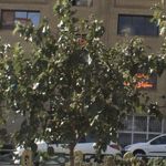 آزمایشگاه مدیا