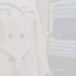 پوشاک بانوی ابریشمی