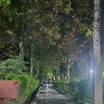 سرویس بهداشتی بوستان ایثار