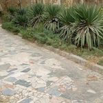 سرویس بهداشتی بوستان ایثار