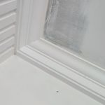 خدمات گچ کاری طالبیان