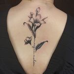 خدمات تتوی بدن ماهی(40درصد تخفیف)