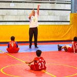 مدرسه بسکتبال مددیان