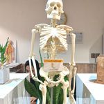 فیزیوتراپی محیا