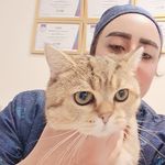 دامپزشک خوب