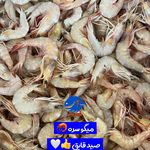 فروشگاه ماهی قشم