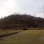 اجاره روزانه ویلا ناورودی