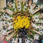 گلفروشی سی تو (ارسال رایگان)