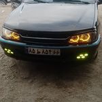 نقاشی.خشگیری حرفه ای  سناتور