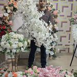 تولید تجهیزات تالار و تولد ناد