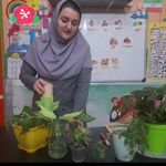 دبستان کودکان خلاق  پرستوهای شادی
