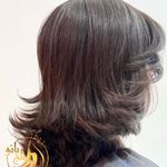 خدمات اموزش کوتاهی مو شاهین شهر