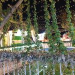باغ تالار آرتمیس