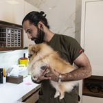 بیمارستان دامپزشکی آلپت