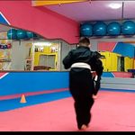 باشگاه  دفاع شخصی وکیک بوکسینگ و نانچیکو