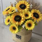 گلفروشی پالیز