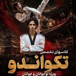 باشگاه هنرهای رزمی و فیتنس مبارز