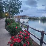 باغشهر آرین
