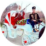 تشریفات کالسکه شادی .اجاره کالسکه و اسب