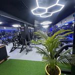 باشگاه بدنسازی بانوان لئو (پونک)