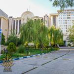 مرکز ماساژ vip آریا