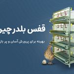 آشیونه ،تولید کننده انواع قفس پرورش طیور