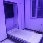 دکوراسیون دکوریاس