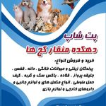 پت شاپ دهکده منقارکج‌ها