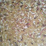 ملزومات حیوانات خانگی حقی (پتشاپ)