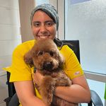 کلینیک دامپزشکی پاندورا