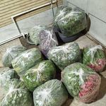 سبزی خوردن دسته 100گرمی