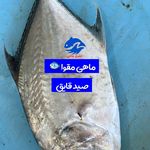 فروشگاه ماهی قشم