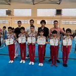 خانه ژیمناستیک پاس پویا